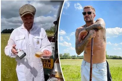 Cách David Beckham khiến tiền sinh ra tiền, thú vui cũng sinh ra tiền